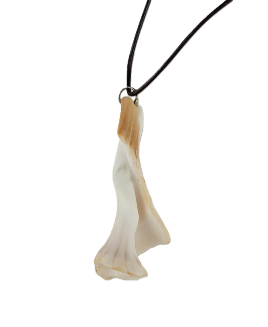 Necklace with a unique pendant on a white background