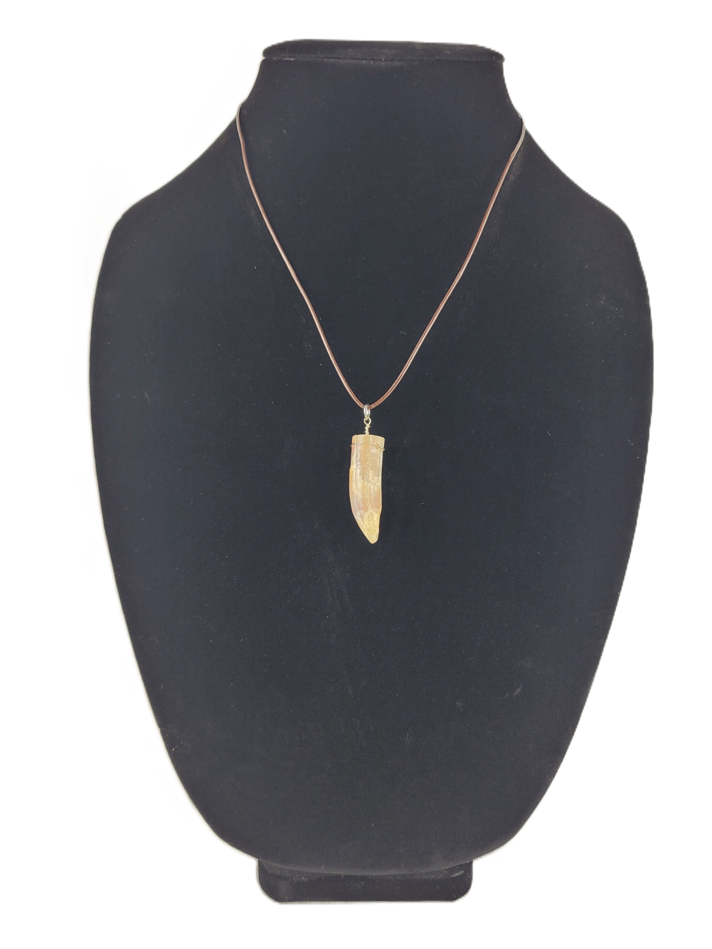 Necklace with a pendant on a black mannequin bust against a white background