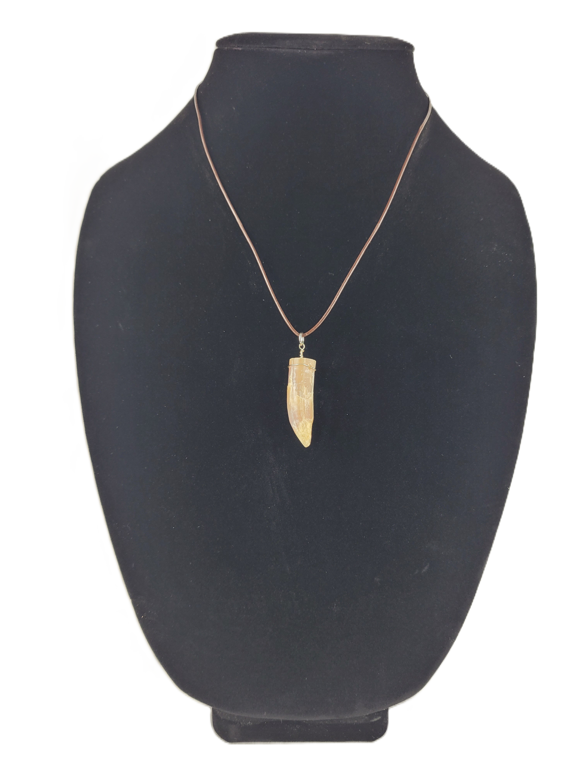 Necklace with a pendant on a black mannequin bust against a white background