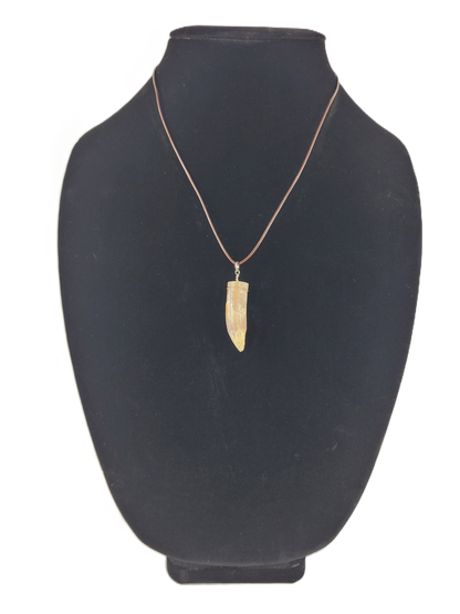 Necklace with a pendant on a black mannequin bust against a white background