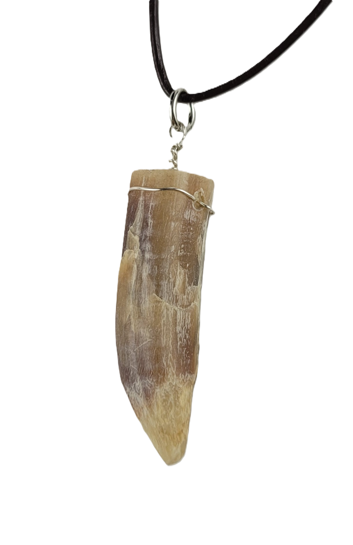 Rooster spur pendant on a black cord against a white background