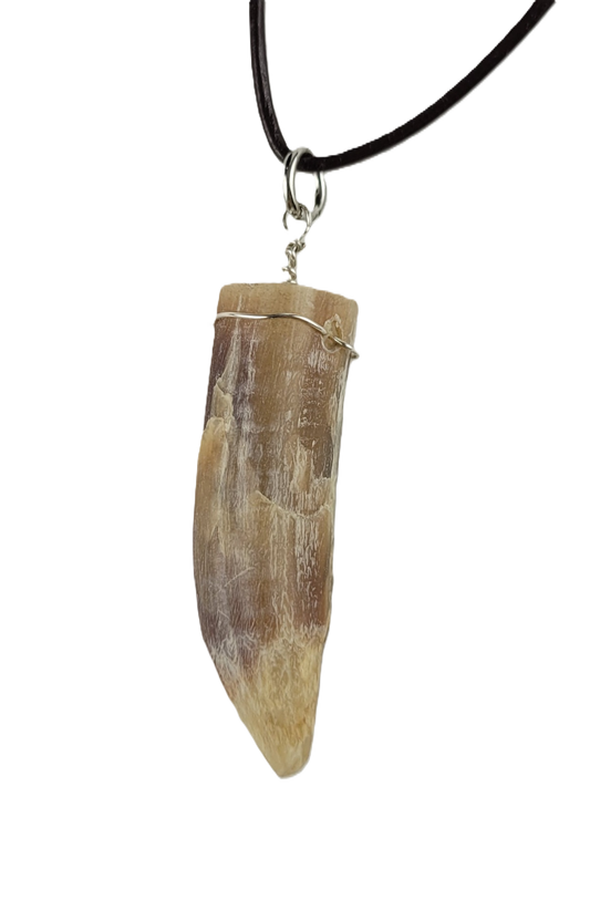 Rooster spur pendant on a black cord against a white background