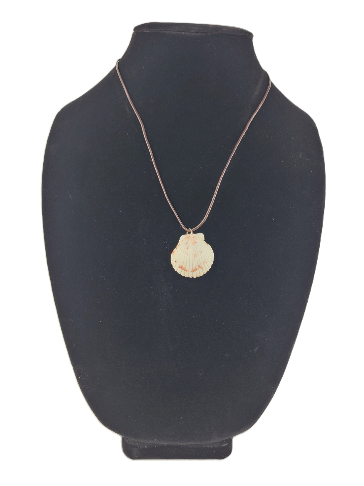 Necklace with a shell pendant on a black bust