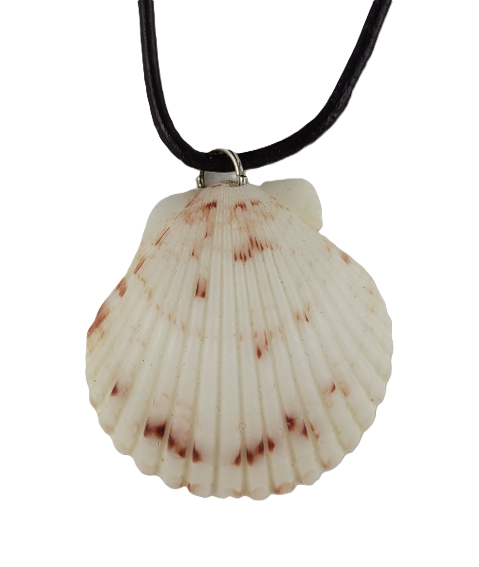 Shell pendant on a black cord against a white background