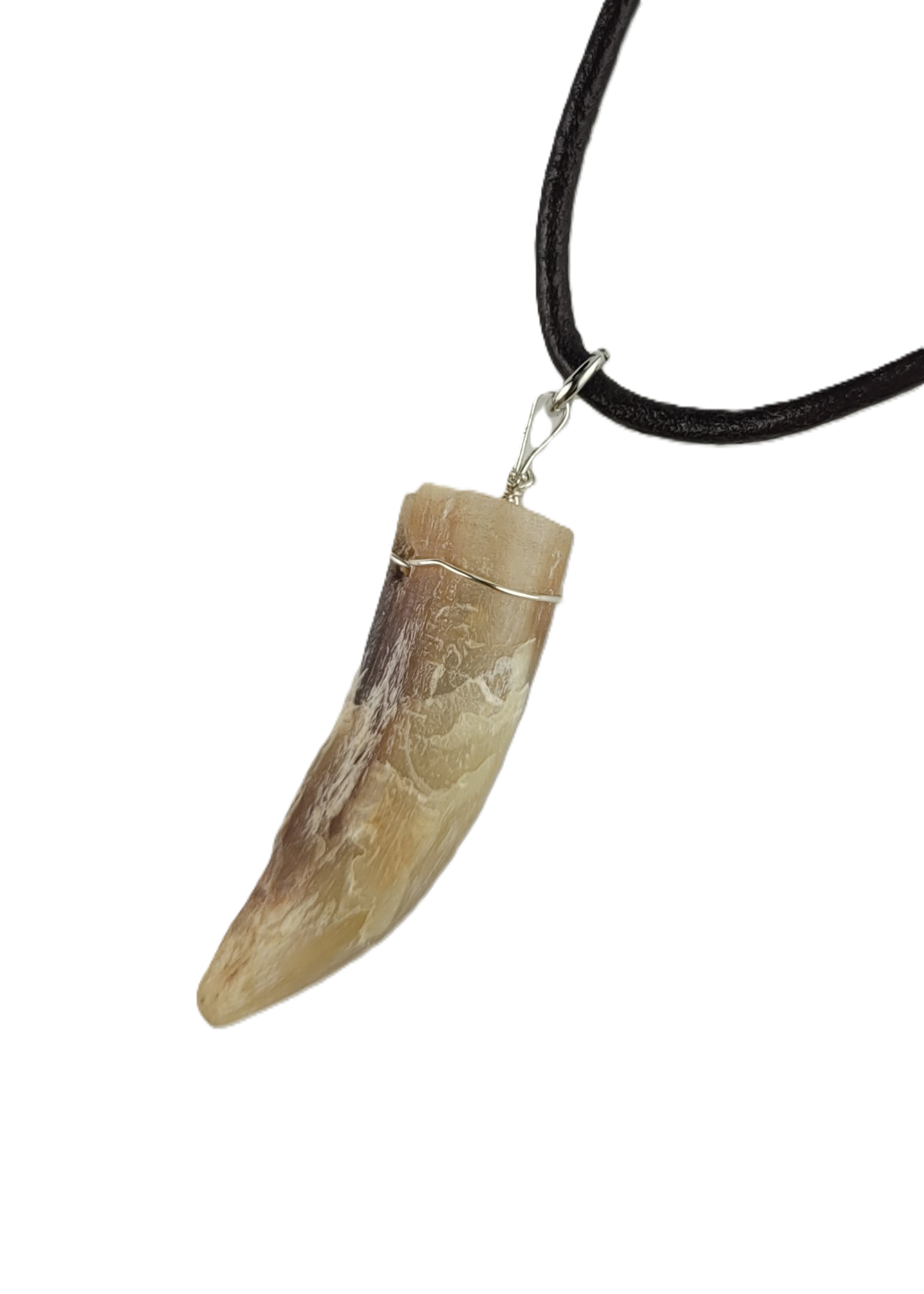 Rooster spur pendant on a black cord against a white background