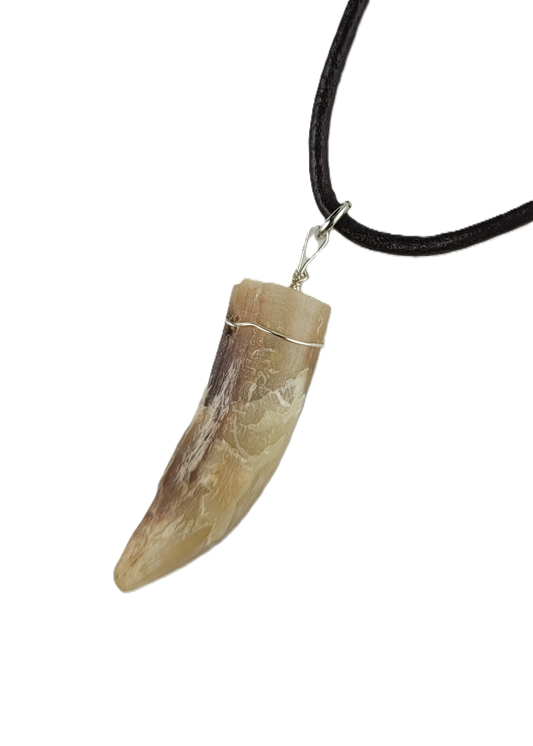 Rooster spur pendant on a black cord against a white background