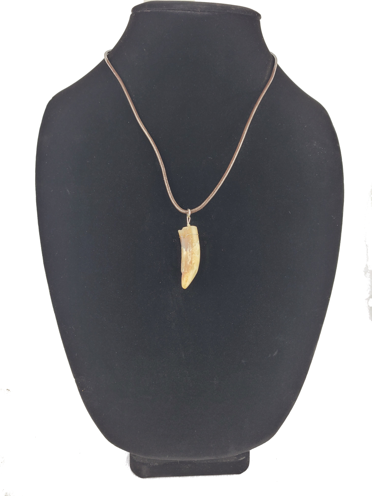 Rooster rpur pendant necklace on a black bust