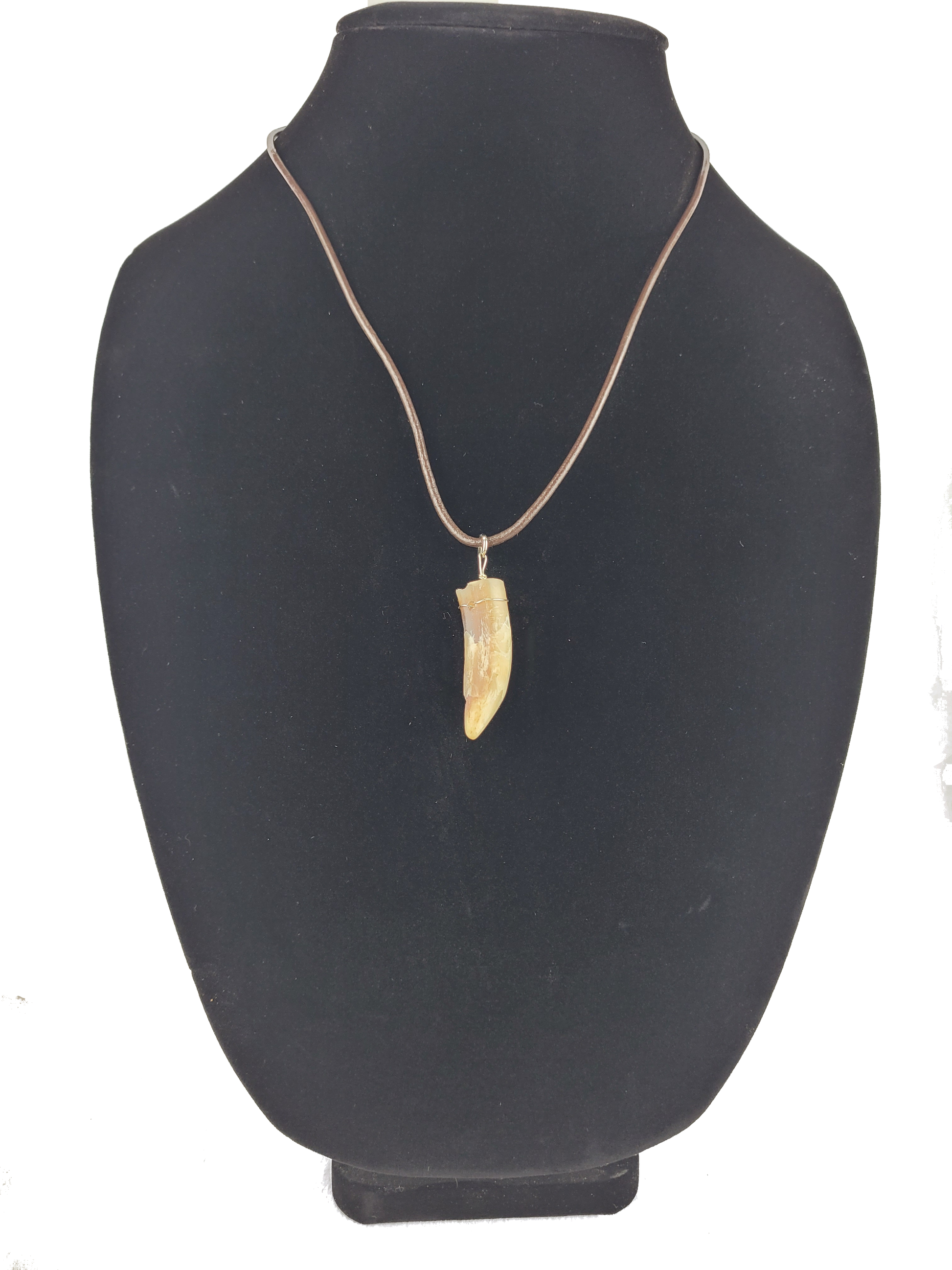 Rooster rpur pendant necklace on a black bust
