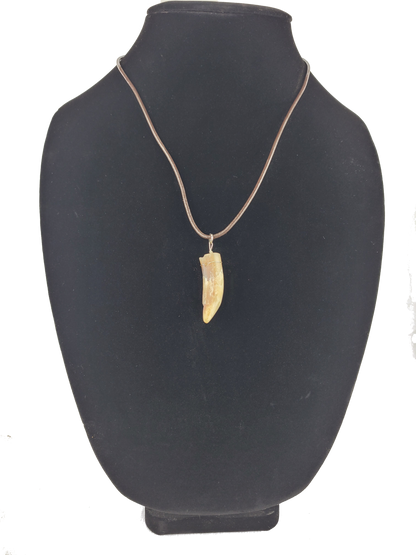 Rooster rpur pendant necklace on a black bust