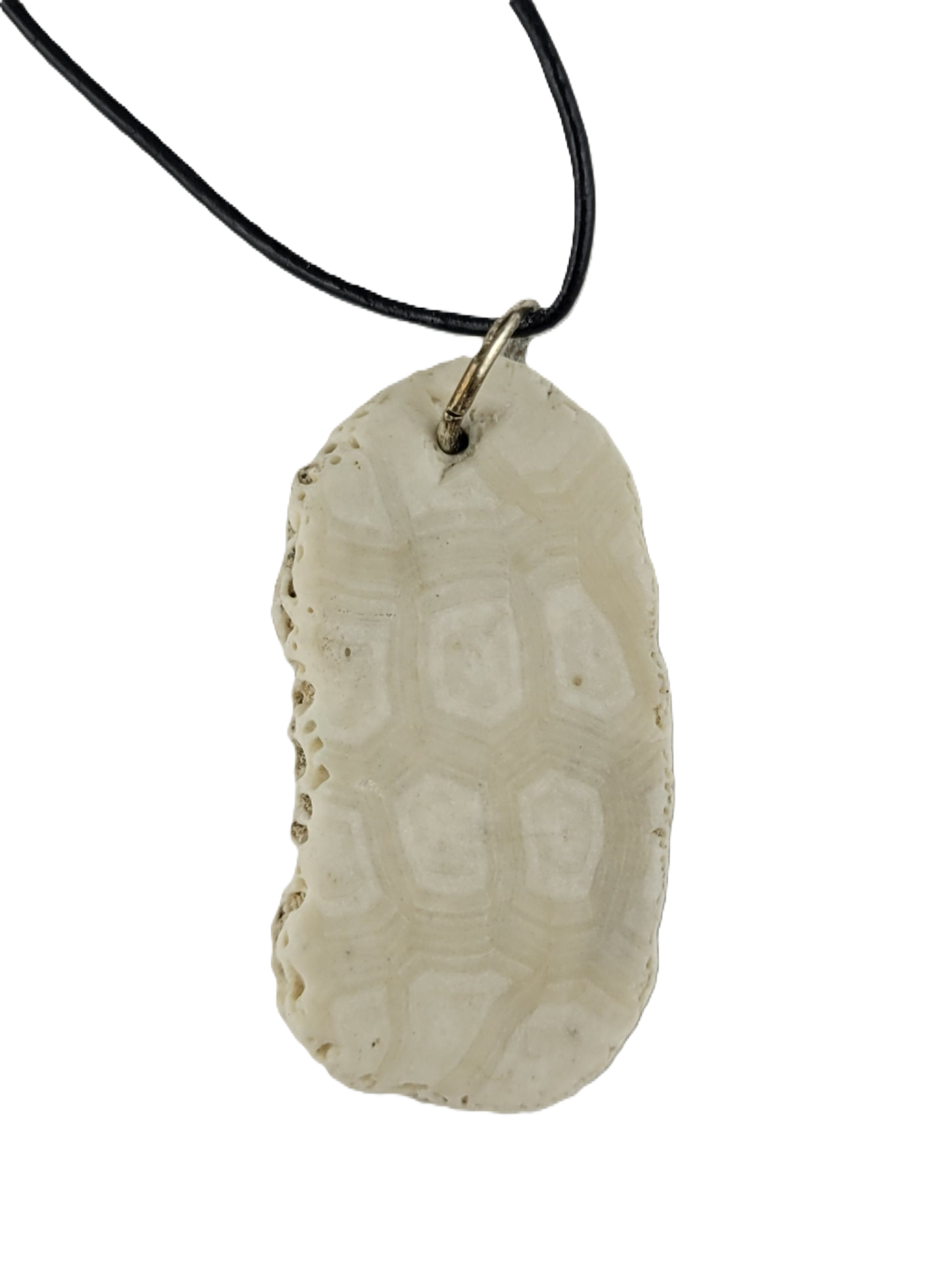 sand dollar fragment pendant on a black cord against a white background
