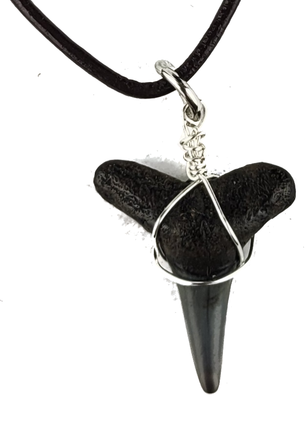 Black shark tooth pendant on a black cord against a white background