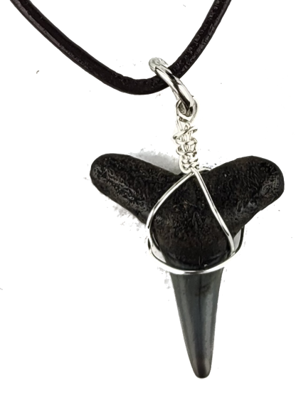 Black shark tooth pendant on a black cord against a white background