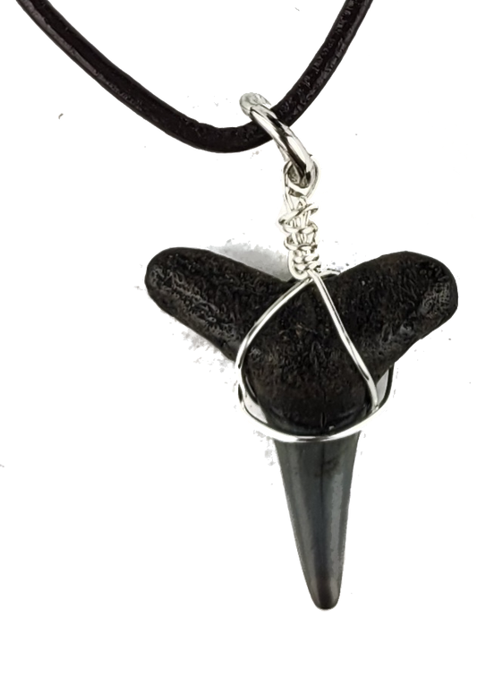 Black shark tooth pendant on a black cord against a white background
