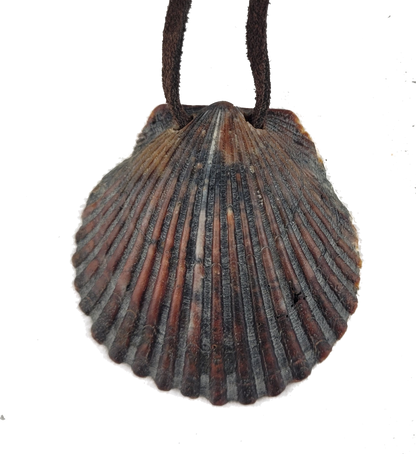 Shell pendant on a white background