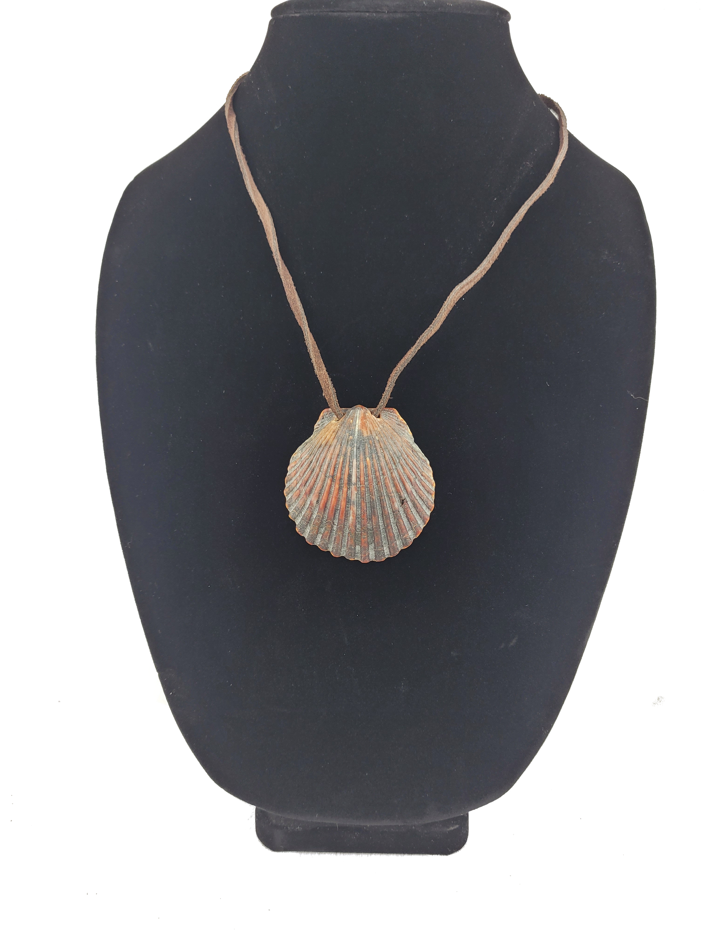 Shell pendant necklace on a black bust