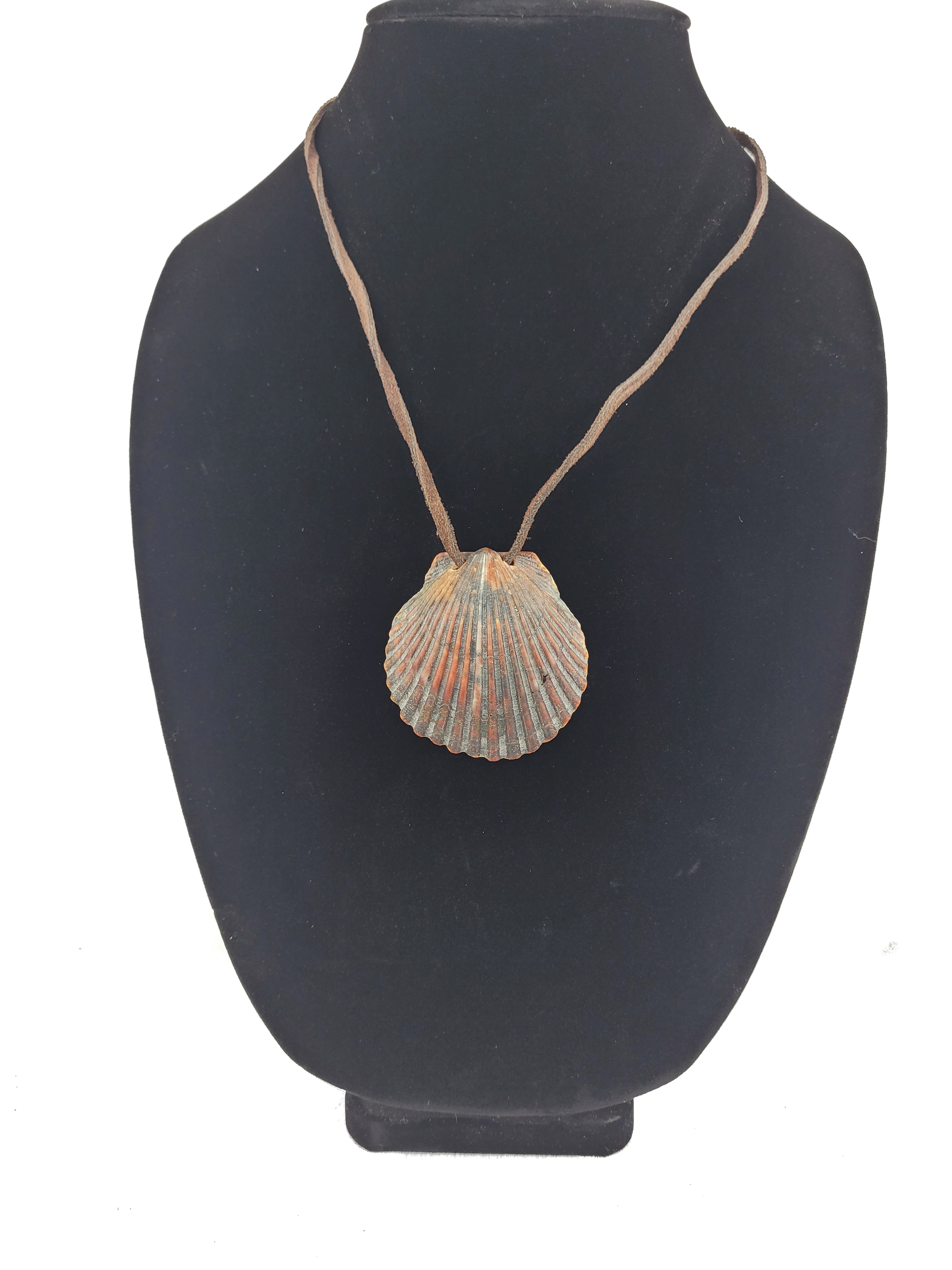 Shell pendant necklace on a black bust