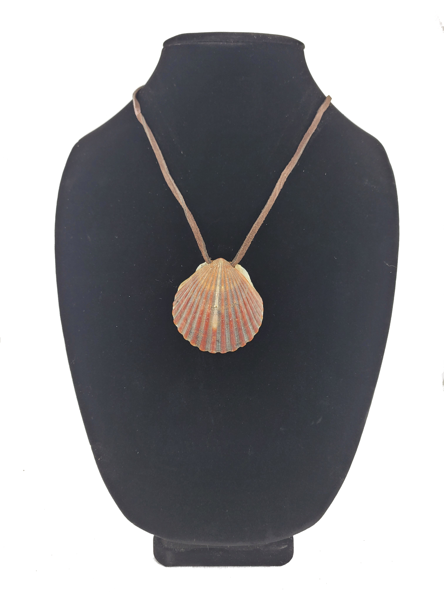 Shell pendant necklace on a black mannequin bust