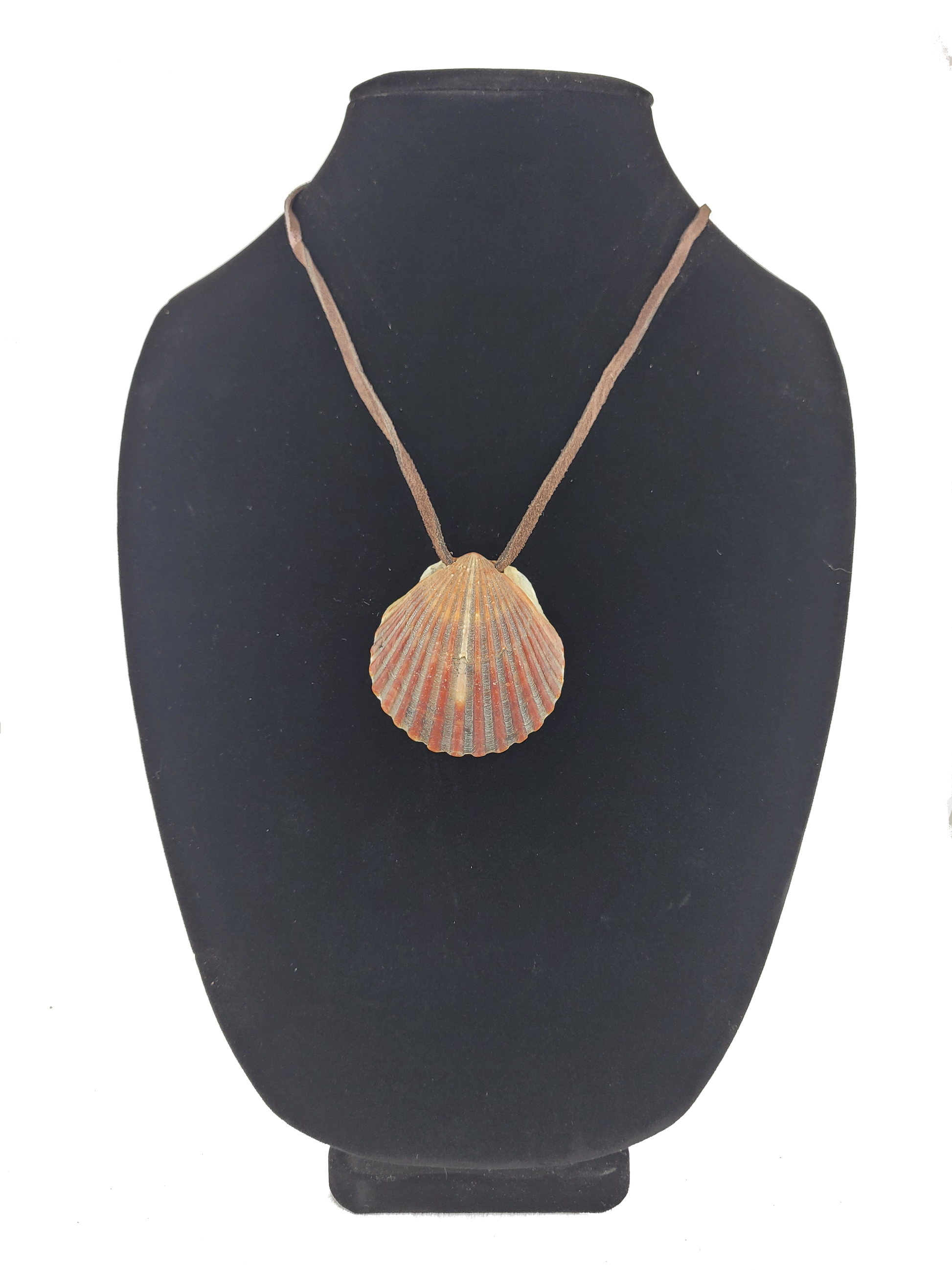 Shell pendant necklace on a black mannequin bust