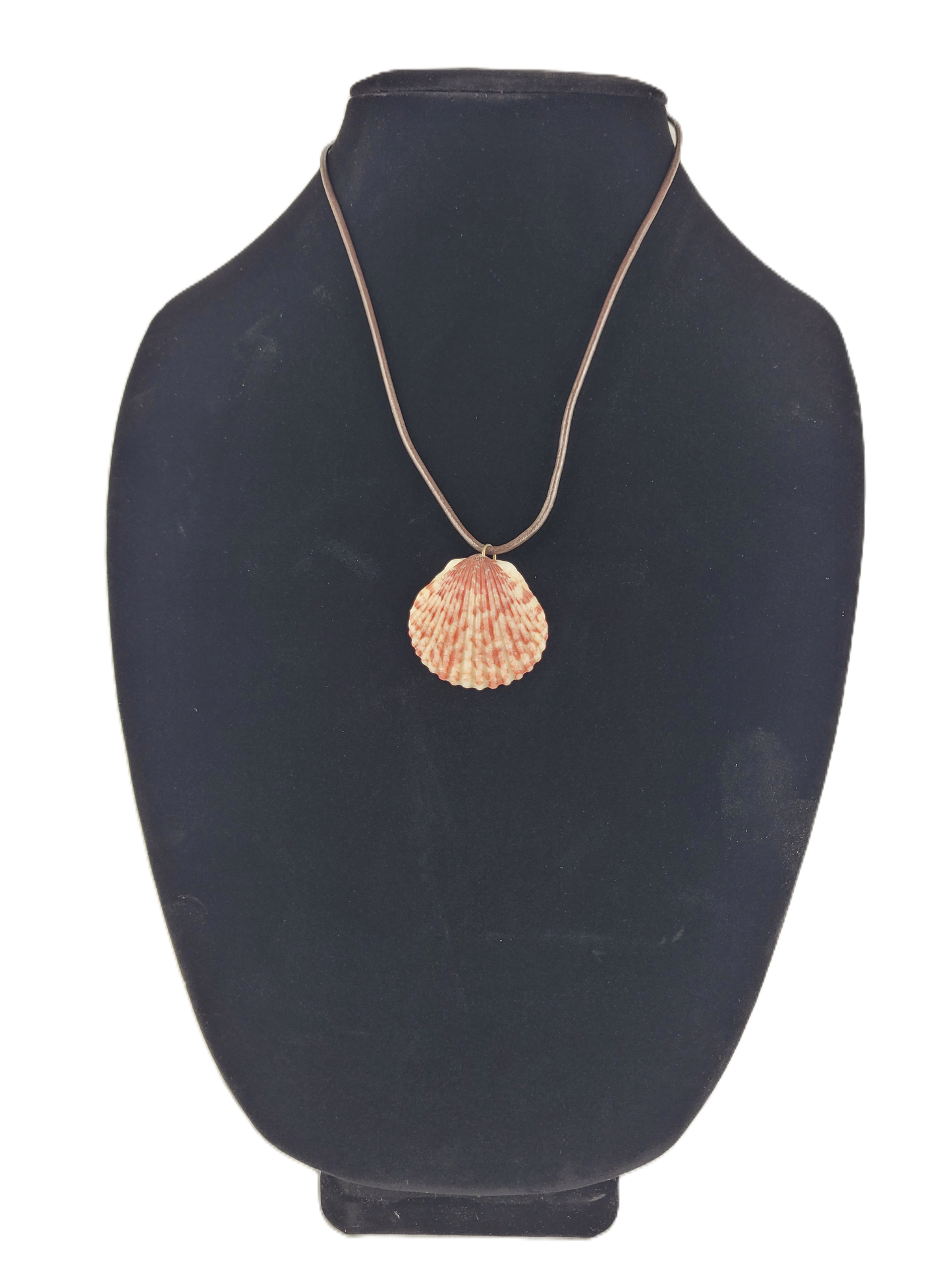 Necklace with a shell pendant on a black mannequin bust