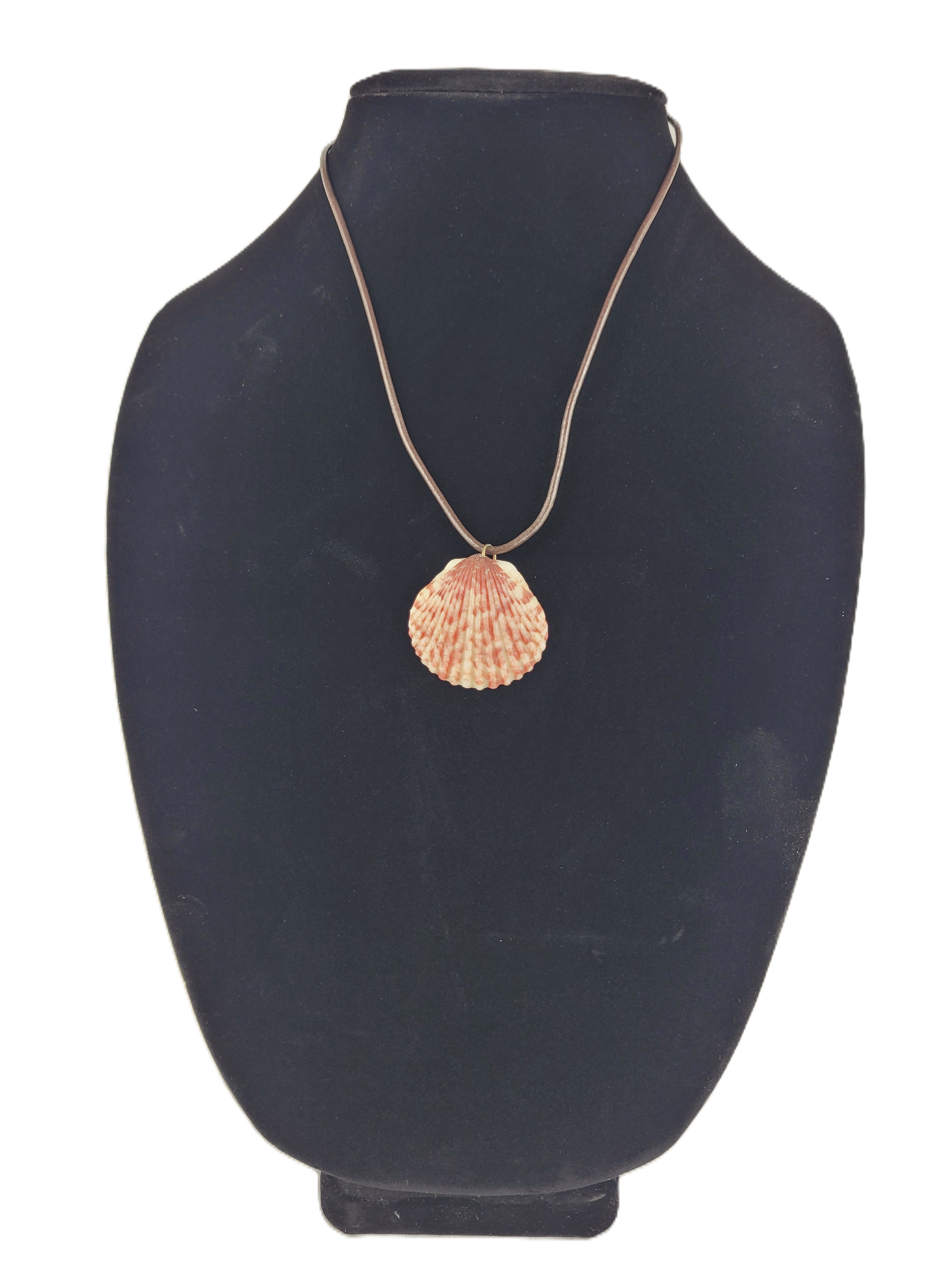 Necklace with a shell pendant on a black mannequin bust