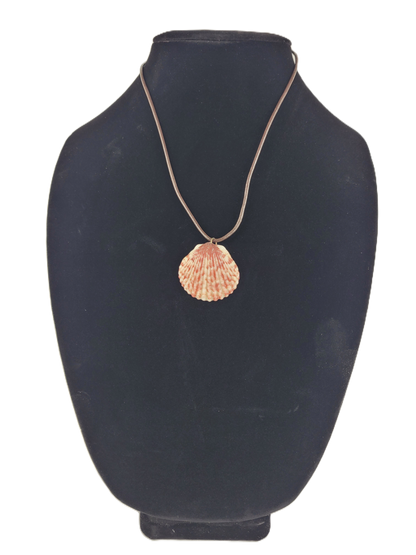 Necklace with a shell pendant on a black mannequin bust