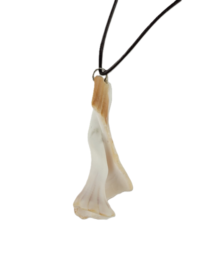 Necklace with a unique pendant on a white background