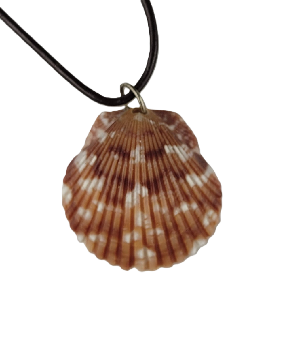 Calico Scallop Shell Craft Necklace – Re-Used Relics, LLC