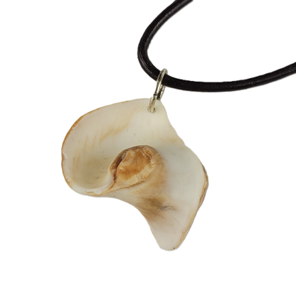 Shell pendant on a black cord against a white background