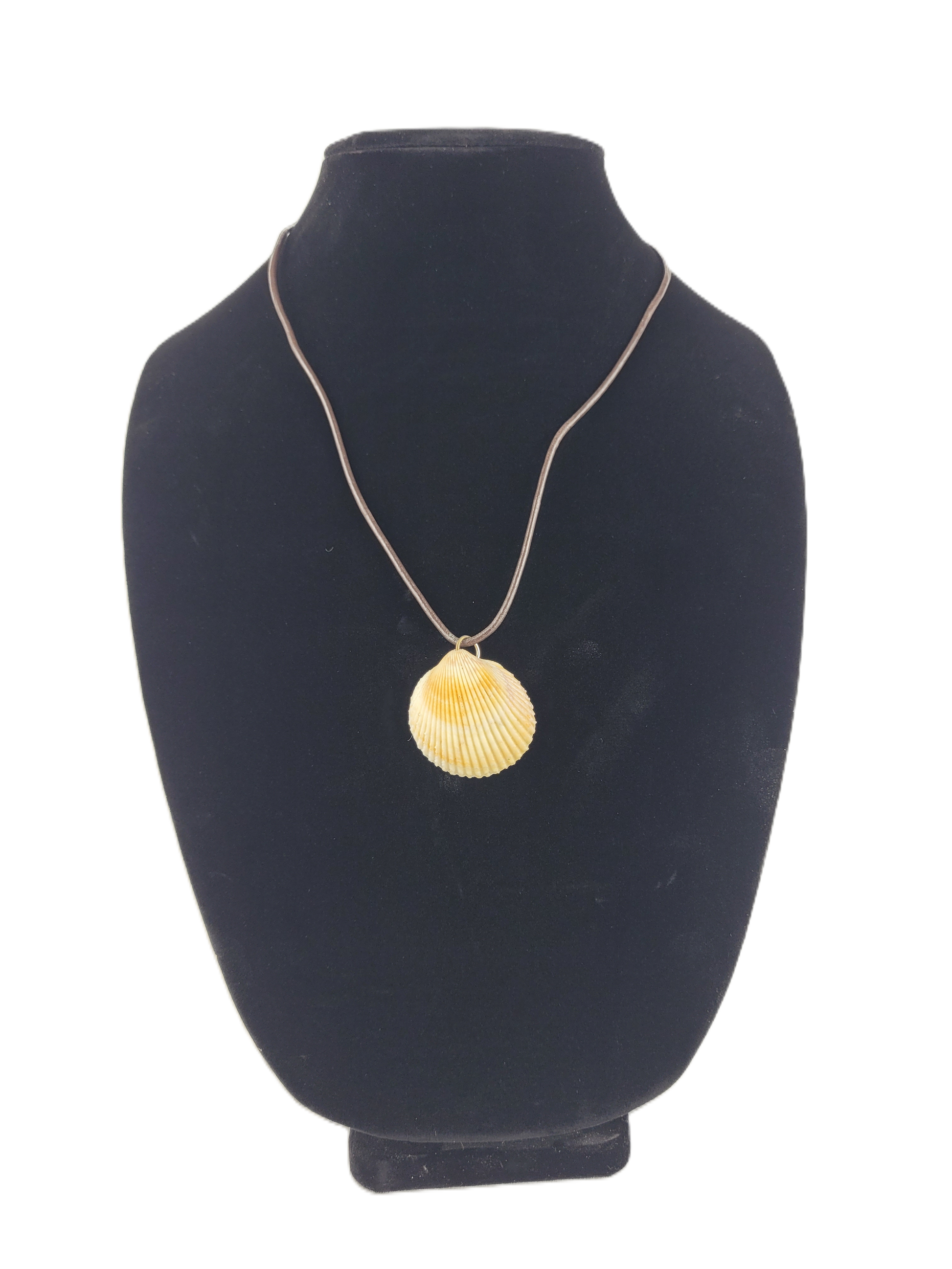 Necklace with a shell pendant on a black mannequin bust against a white background