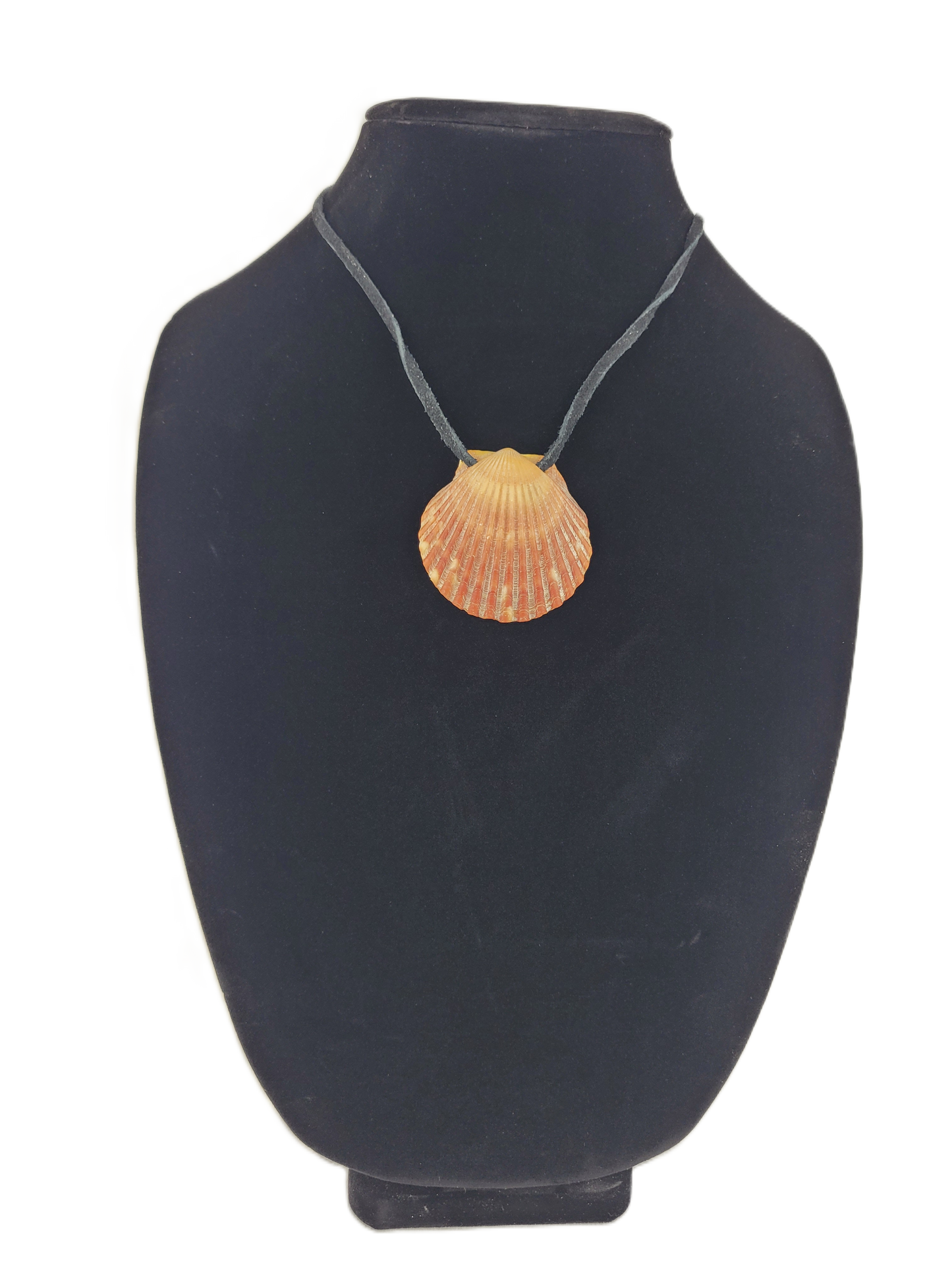 Shell pendant on a black mannequin bust with a white background