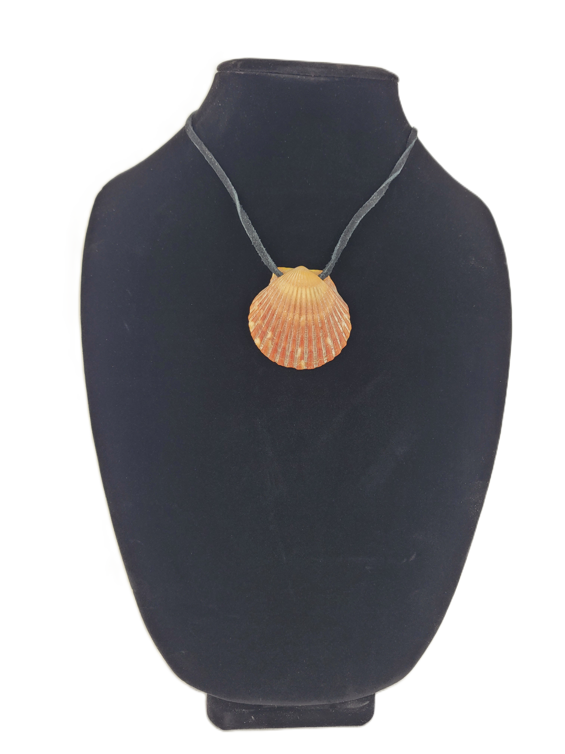 Shell pendant on a black mannequin bust with a white background