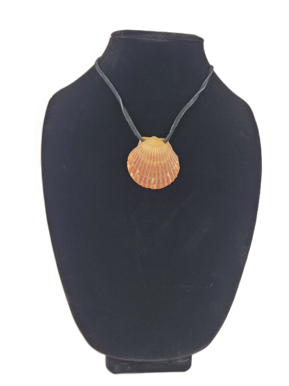 Shell pendant on a black mannequin bust with a white background