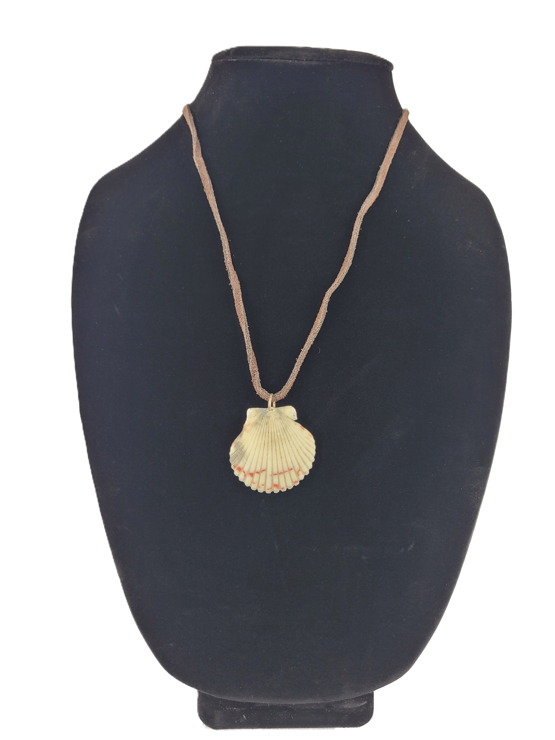 Shell pendant necklace on a black mannequin bust