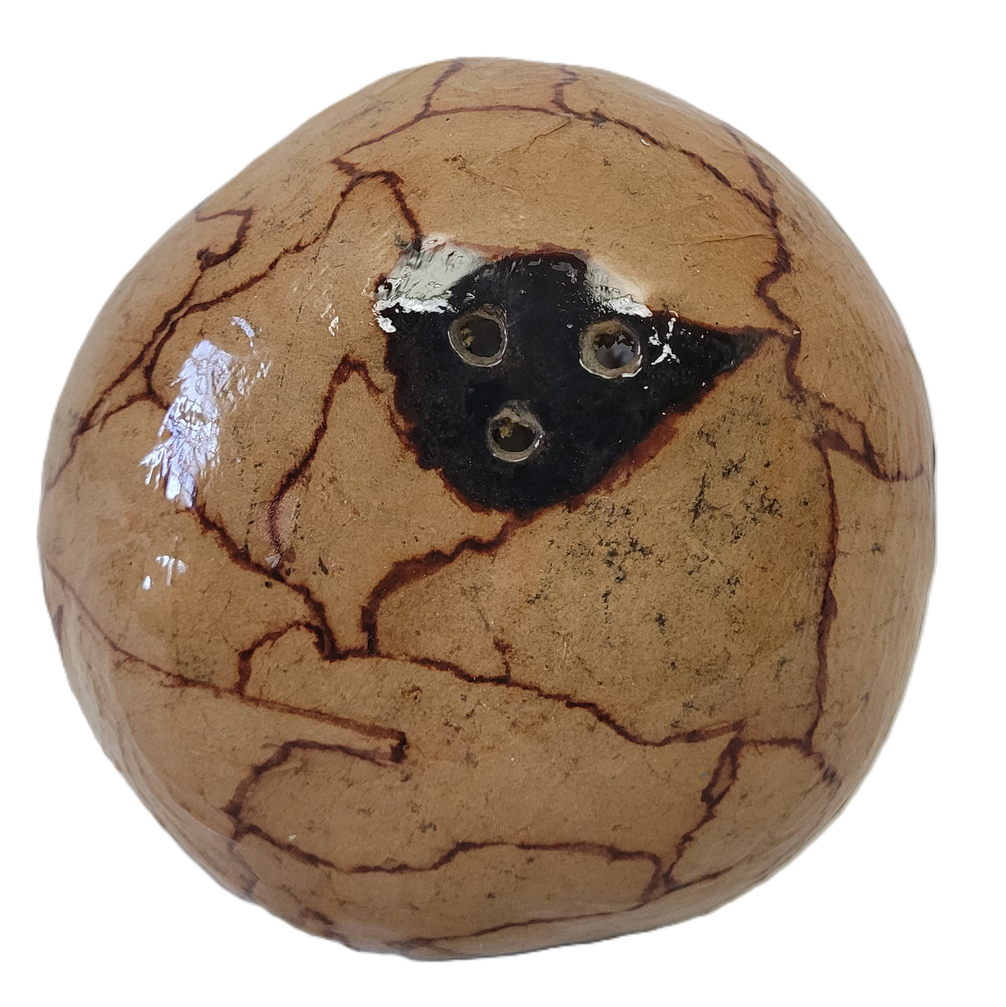 Brown Paper Bag Decoupaged Gourd Birdhouse