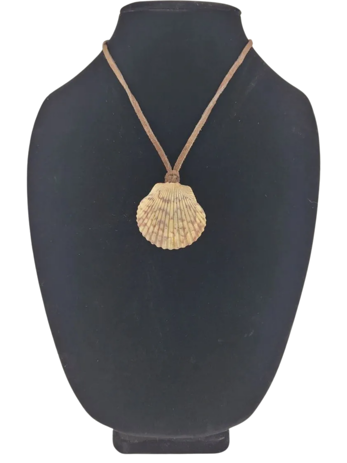 shell pendant on a black mannequin bust