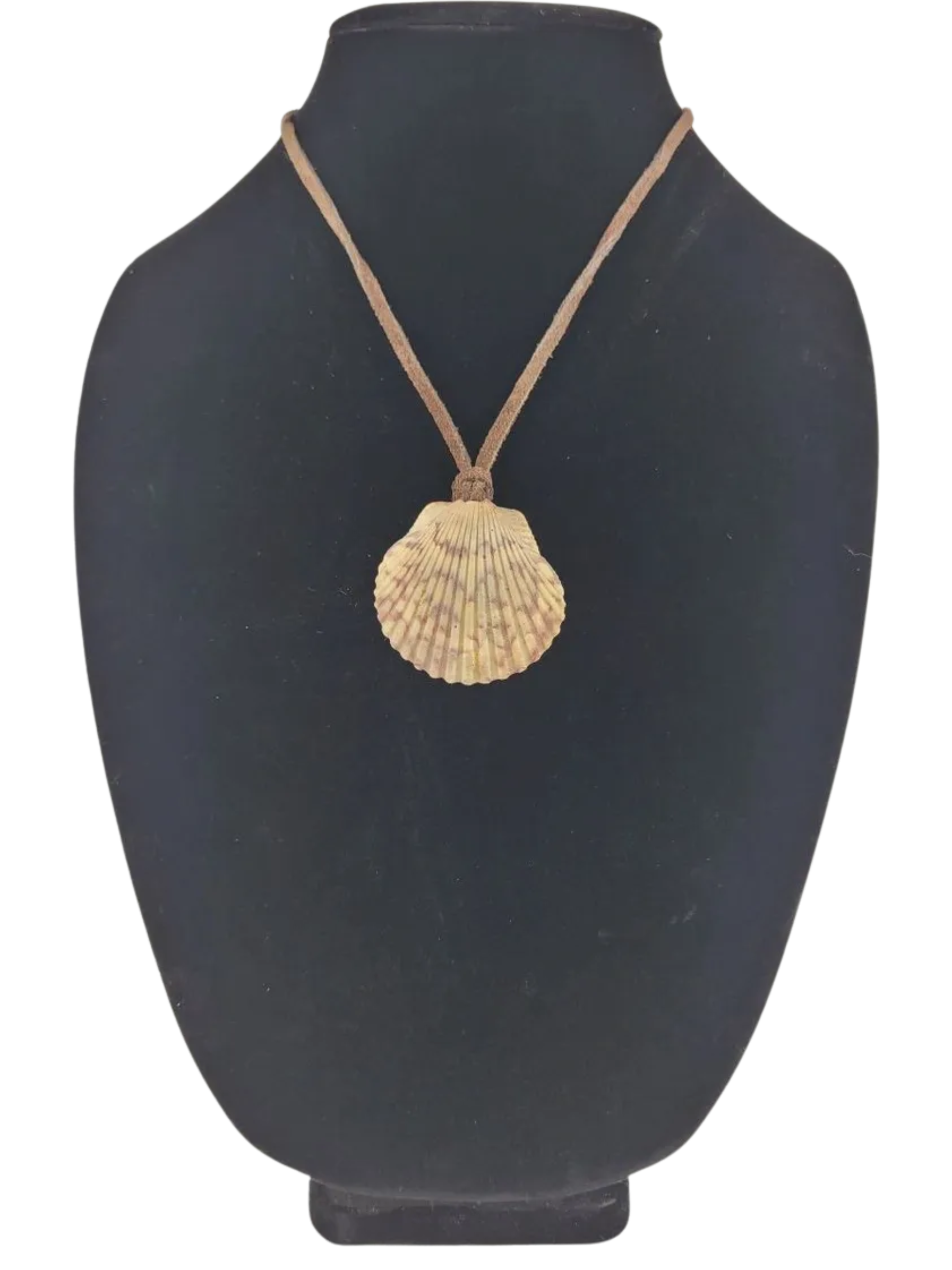 shell pendant on a black mannequin bust