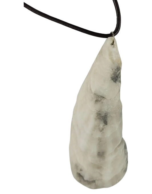 Necklace with a shell pendant on a white background