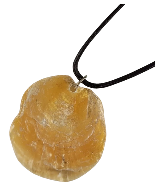 Yellow shell pendant on a black cord against a white background