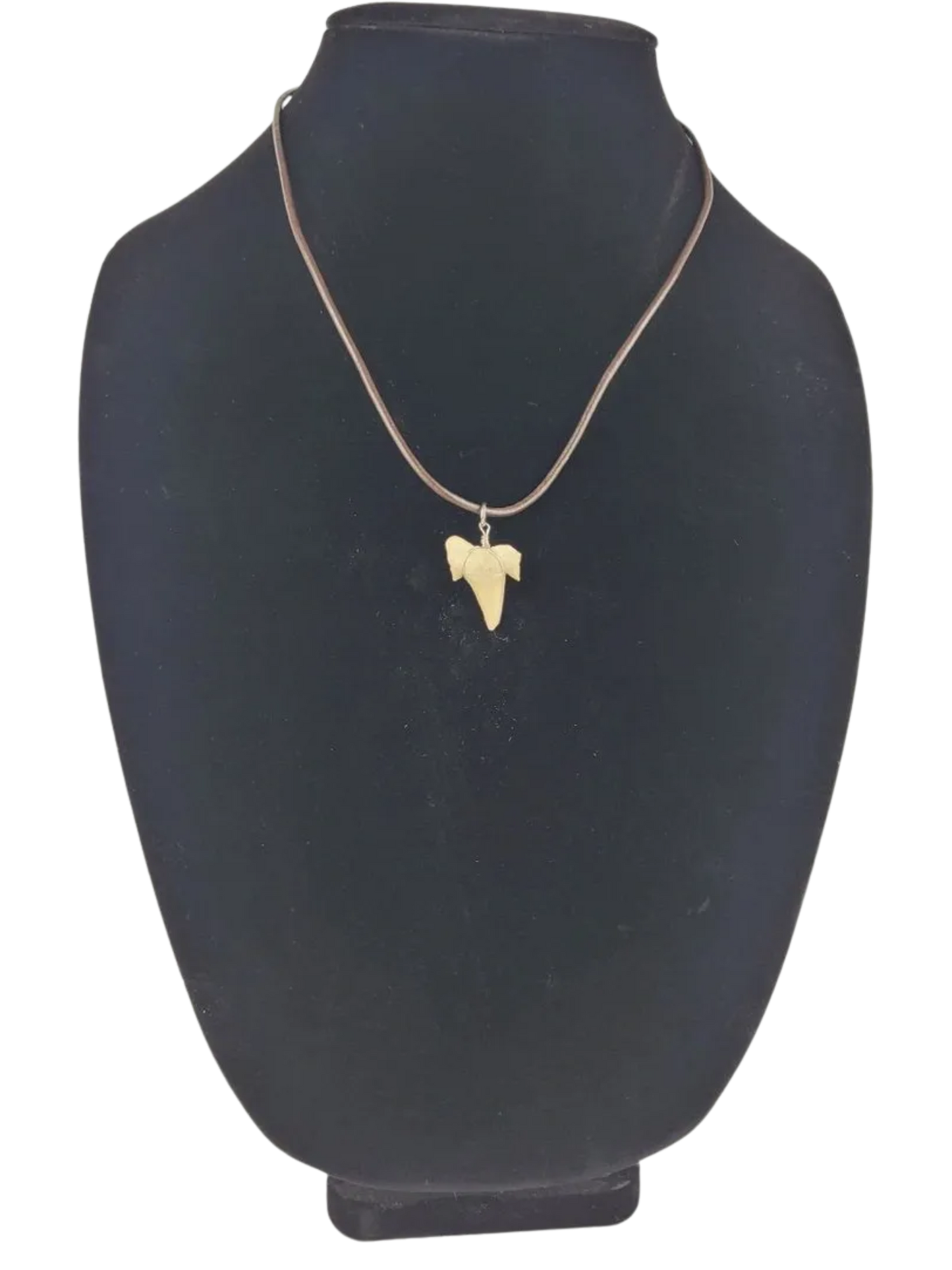 necklace with a pendant on a black bust