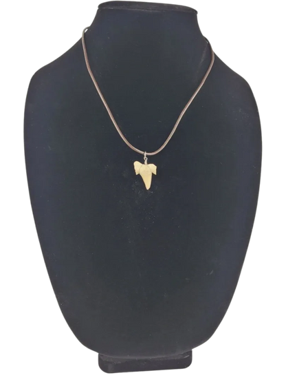 necklace with a pendant on a black bust