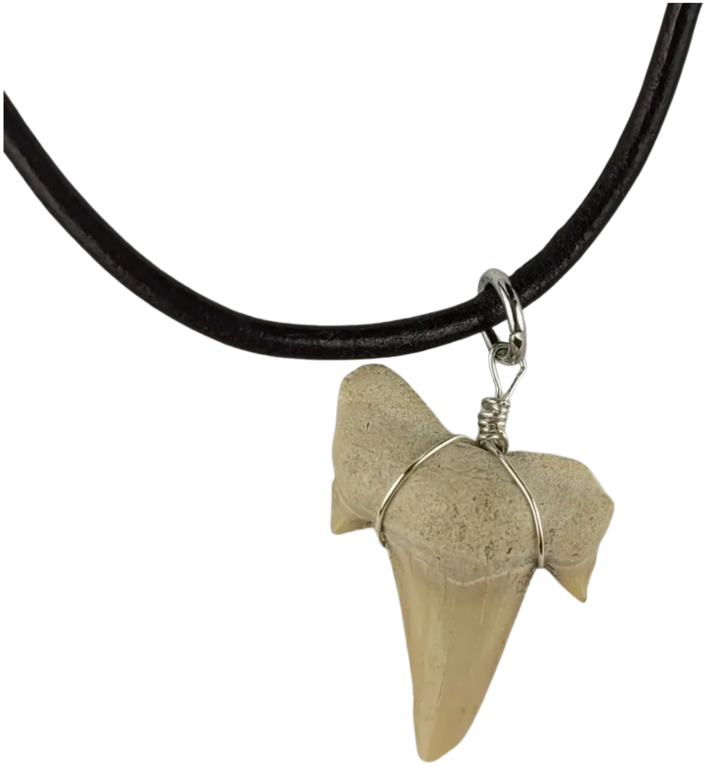 Shark tooth pendant necklace on a black cord against a white background
