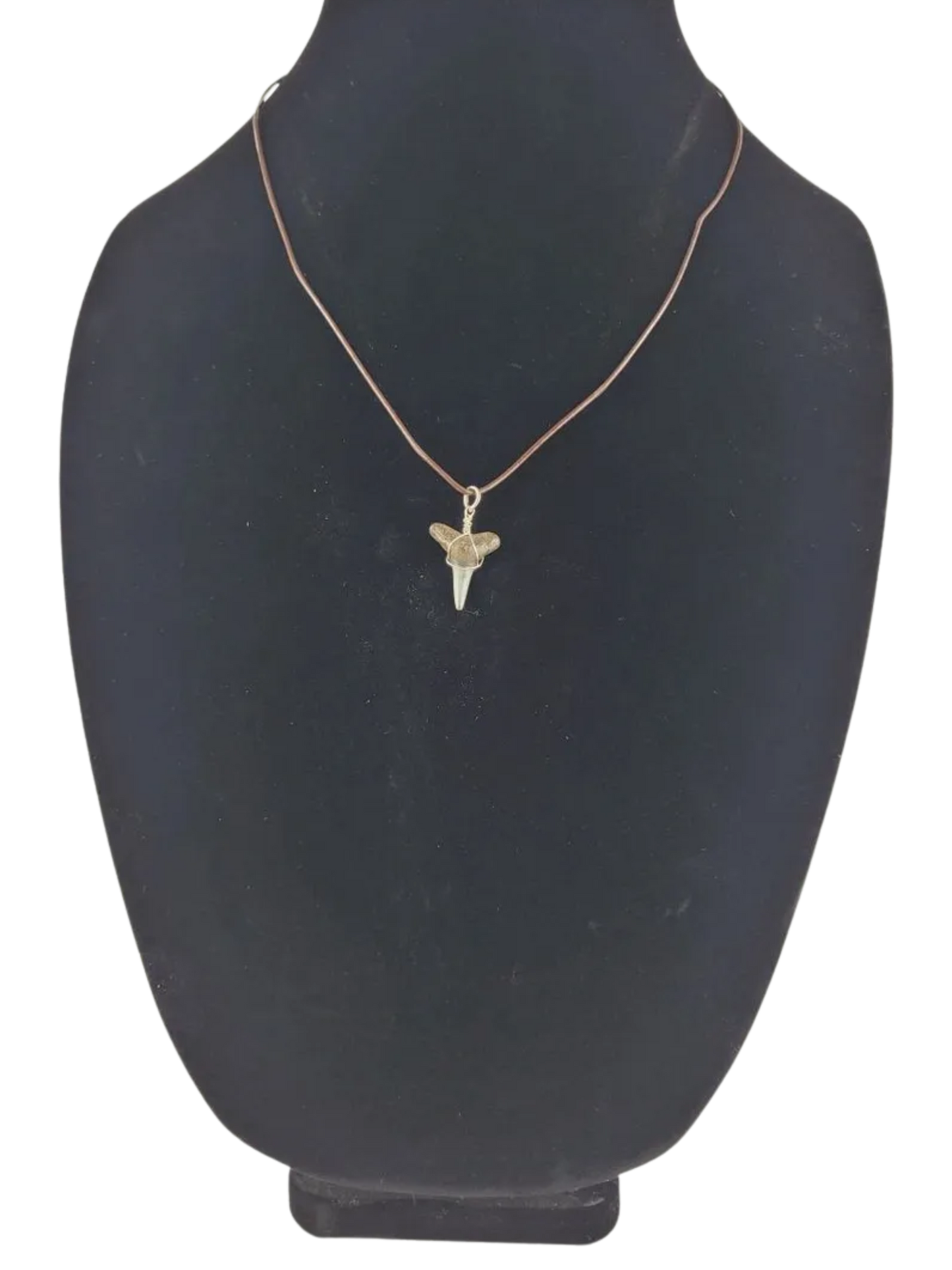 necklace with a shark tooth pendant on a black bust