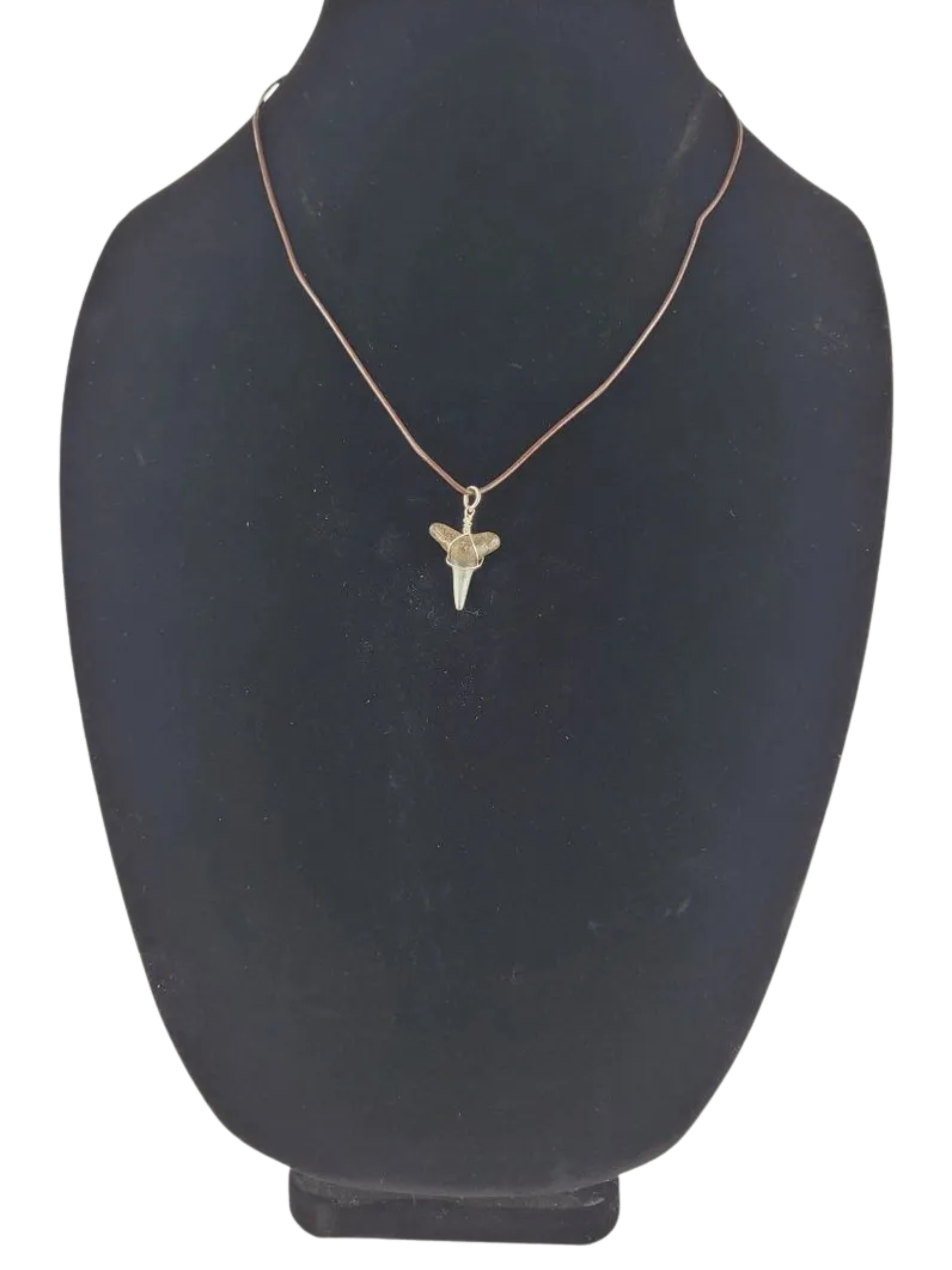 necklace with a shark tooth pendant on a black bust