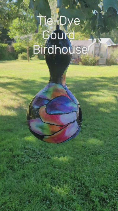 Video of colorful gourd birdhouse